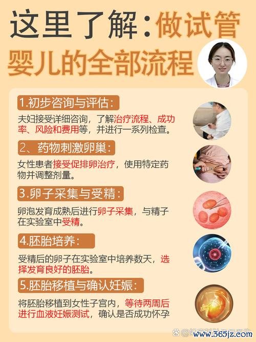 供卵助孕服务流程与优势解析