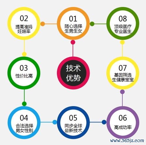 俄罗斯代孕试管婴儿服务流程及优势解析